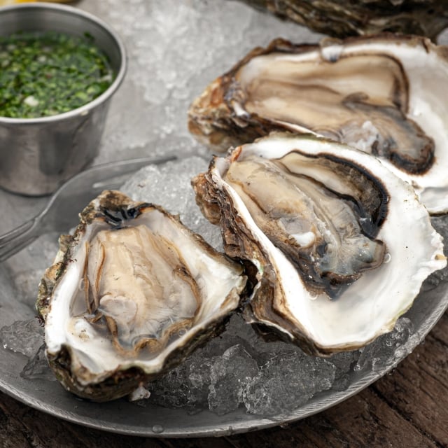 Close up view of fresh oysters prepared by Tratto at The Marker